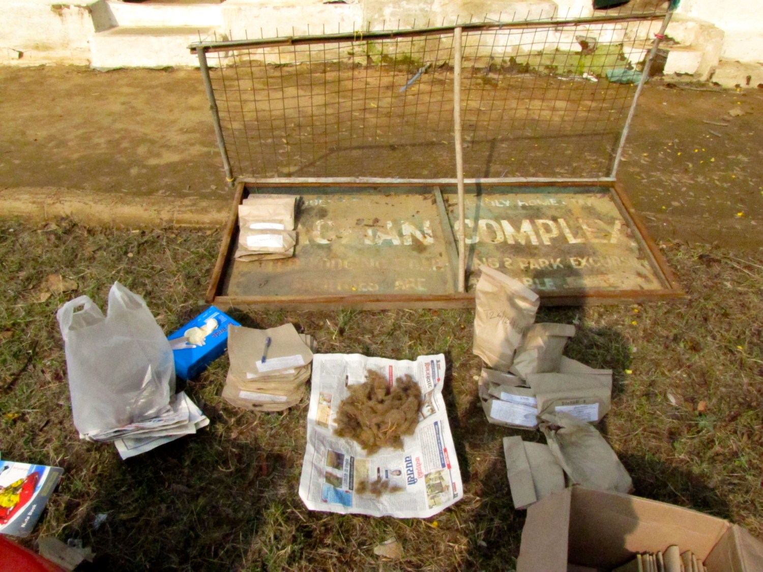 Tiger washing equipment