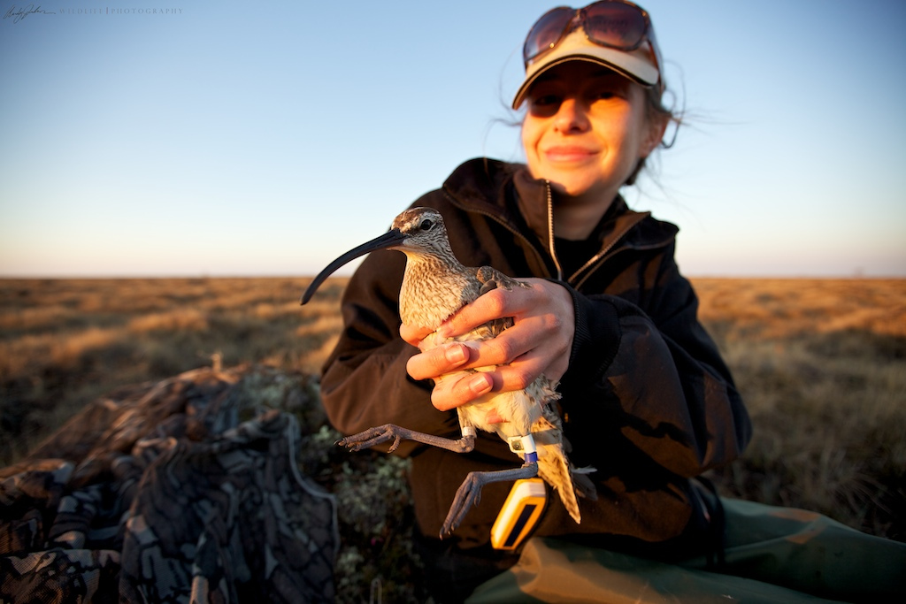 9343326582_8d707e53bd_b (2)