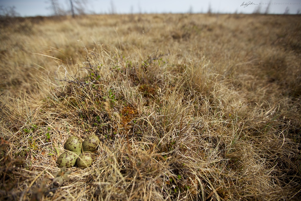 9343326762_b4e2ac3f1f_b