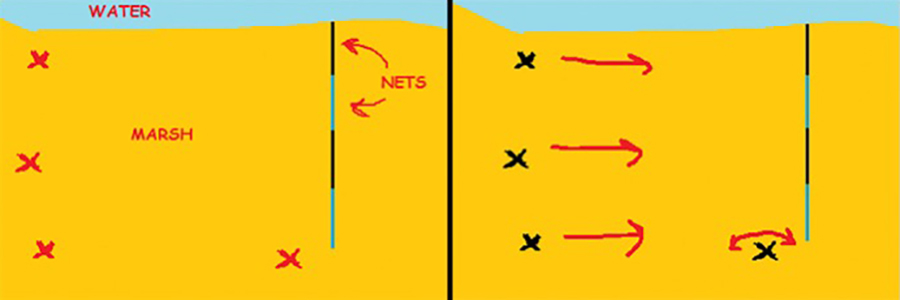 Figures 1 and 2 with line