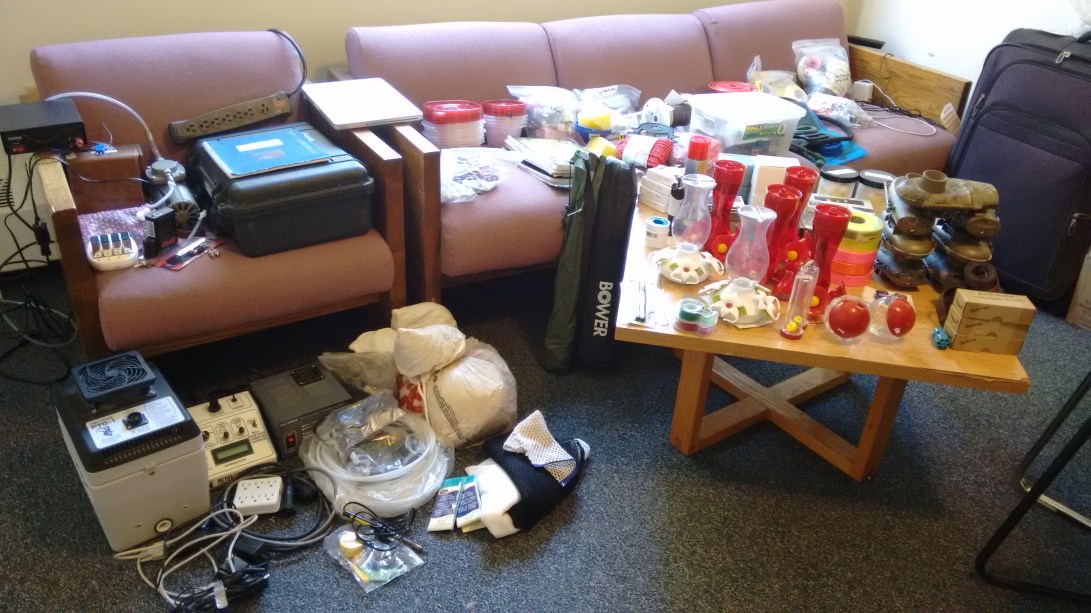 Hummingbird packing mess