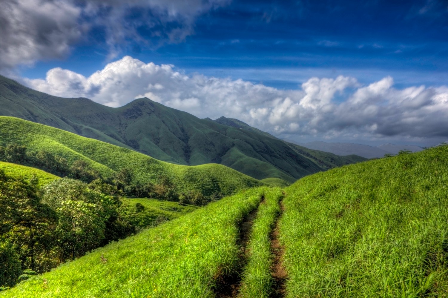 9939139384_37c4930dee_o